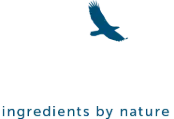 Solo Africa